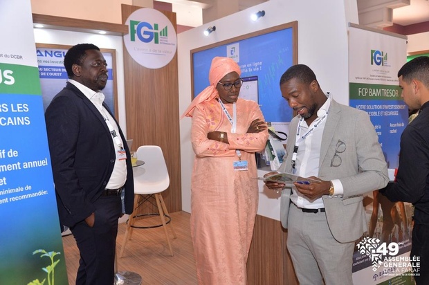 FGI A COTE DES ASSUREURS : La valeur de l’avenir FGI A COTE DES ASSUREURS : La valeur de l’avenir