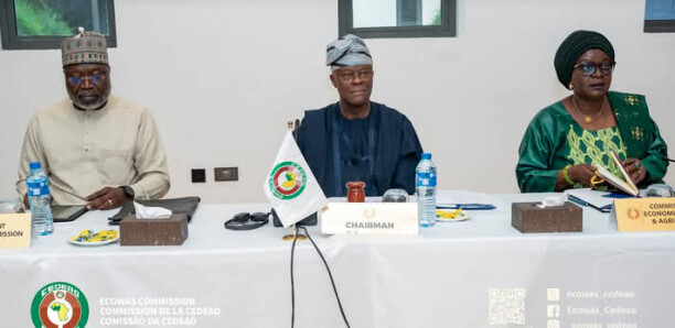 Conseil de convergence des ministres de la Cedeao : La création de la monnaie unique Eco au cœur des débats Conseil de convergence des ministres de la Cedeao : La création de la monnaie unique Eco au cœur des débats