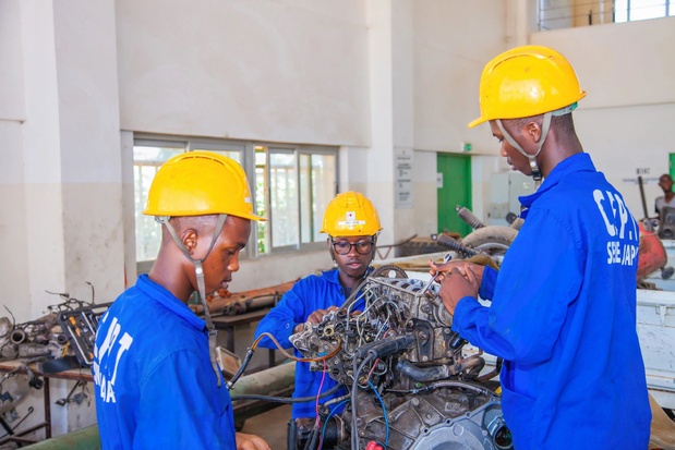 Le capital humain à l’épreuve de la formation et de l’insertion professionnelle des jeunes Le capital humain à l’épreuve de la formation et de l’insertion professionnelle des jeunes