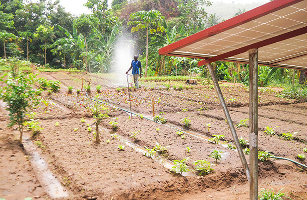Renforcement de l’irrigation : Les pays du Sahel réunis à Dakar, lancent un appel urgent à l’action Renforcement de l’irrigation : Les pays du Sahel réunis à Dakar, lancent un appel urgent à l’action