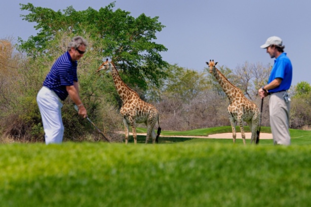 Tourisme : Le secteur se porte bien en Afrique