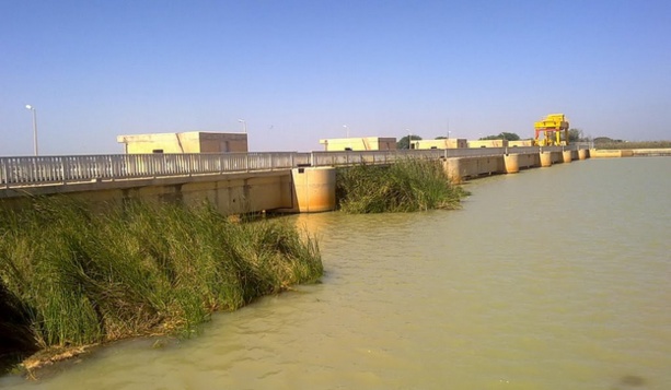 RIZICULTURE : La JICA arme le Sénégal RIZICULTURE : La JICA arme le Sénégal