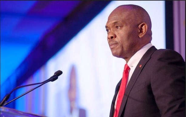 ECONOMIE : Tony Elumelu salue le rôle clé du secteur privé africain