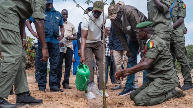 Lancement de la caravane de reboisement : Le président de la République appelle à une mobilisation citoyenne pour la protection du patrimoine naturel Lancement de la caravane de reboisement : Le président de la République appelle à une mobilisation citoyenne pour la protection du patrimoine naturel