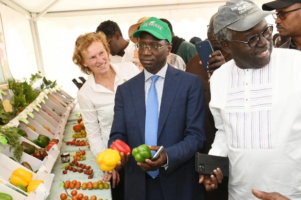 Filière horticole :  Le ministre Mabouba Diagne pour une professionnalisation rapide