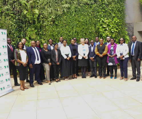 Finance durable :  Le secteur financier africain valide la taxonomie continentale