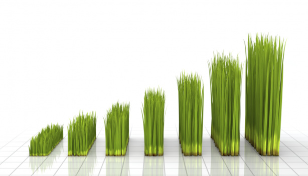 Croissance verte : Le potentiel africain inestimable Croissance verte : Le potentiel africain inestimable