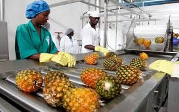  Sénégal : Baisse de l’activité du secteur secondaire en juin 2025