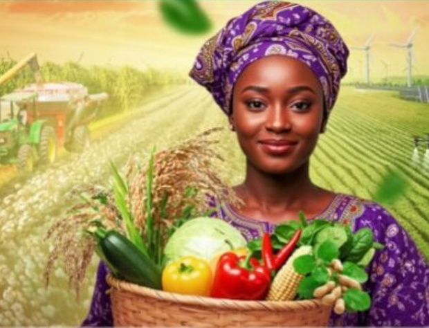 FINANCEMENT DU SECTEUR AGRICOLE : LBA cherche 80 milliards de FCFA sur le marché financier FINANCEMENT DU SECTEUR AGRICOLE : LBA cherche 80 milliards de FCFA sur le marché financier