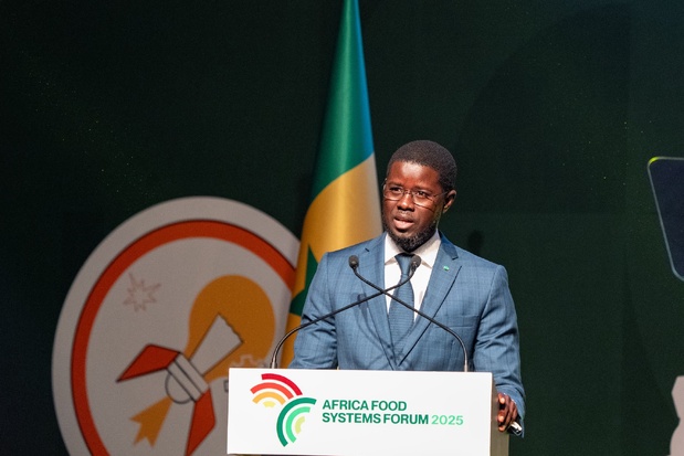Forum africain sur les systèmes alimentaires : Bassirou Diomaye Faye appelle à mettre la jeunesse au cœur de nos politiques de développement