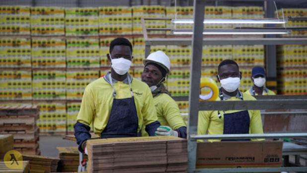 Secteur moderne : Avec 387,9 milliards de FCfa, la masse salariale en hausse de 1,0% au 2e trimestre 2025 Secteur moderne : Avec 387,9 milliards de FCfa, la masse salariale en hausse de 1,0% au 2e trimestre 2025