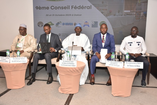 Microfinance : Un levier en pleine expansion mais confronté à de nouveaux défis Microfinance : Un levier en pleine expansion mais confronté à de nouveaux défis