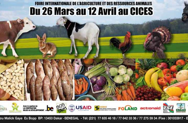 FIARA : L’ASEPEX répond au rendez-vous FIARA : L’ASEPEX répond au rendez-vous