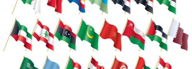 Réformer le secteur de la sécurité dans les pays arabes Réformer le secteur de la sécurité dans les pays arabes