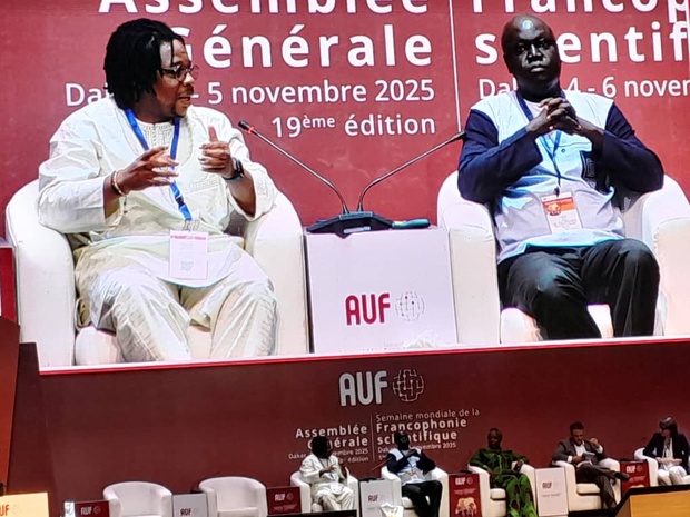 Dakar : la Francophonie unie contre la désinformation Dakar : la Francophonie unie contre la désinformation