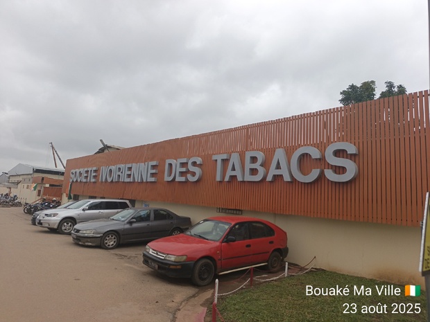 Tabacs : La Société Ivoirienne des Tabacs augmente de plus de 8 milliards FCFA son résultat net au premier semestre 2025. Tabacs : La Société Ivoirienne des Tabacs augmente de plus de 8 milliards FCFA son résultat net au premier semestre 2025.