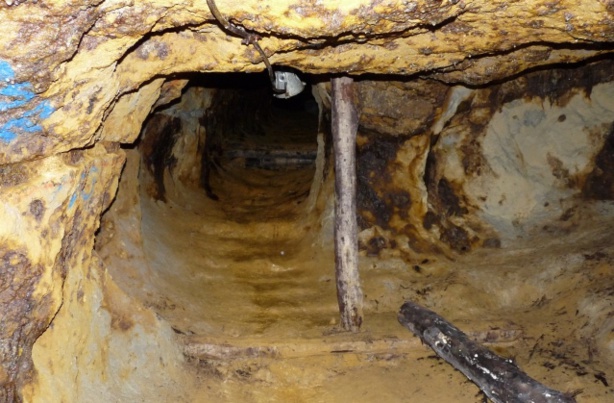 Mali-Affaire Pearl Gold : le tribunal de Francfort déboute Reza Pacha Mali-Affaire Pearl Gold : le tribunal de Francfort déboute Reza Pacha