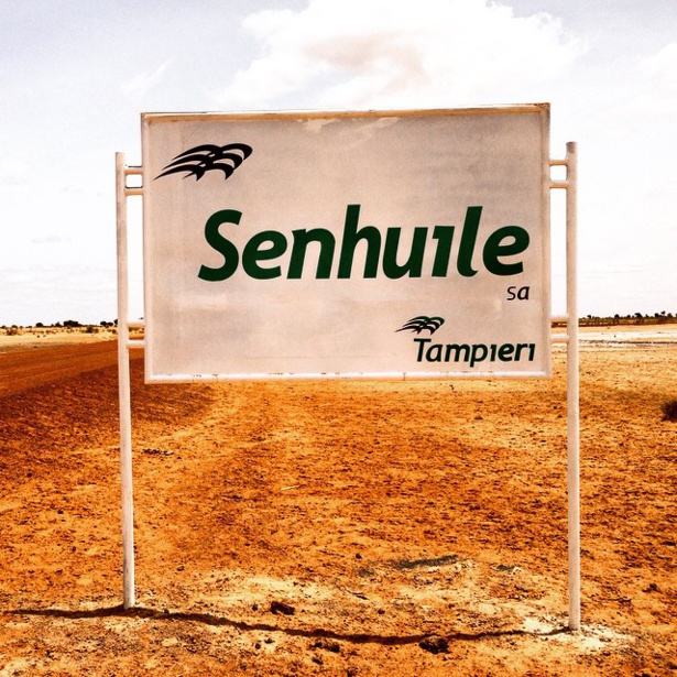 Agriculture : Senhuile, s’engage dans la sécurité alimentaire Agriculture : Senhuile, s’engage dans la sécurité alimentaire