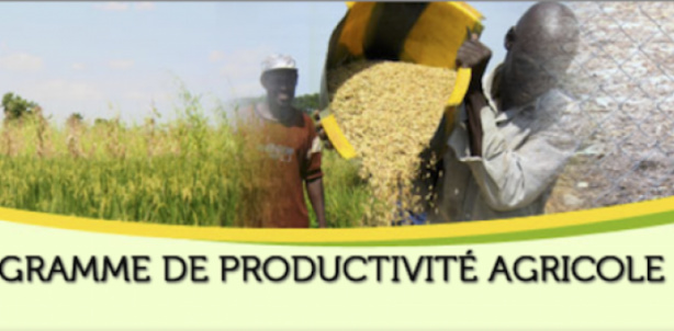 Agriculture : Le PPAAO/WAAPP décline ses nombreuses réalisations au Sénégal Agriculture : Le PPAAO/WAAPP décline ses nombreuses réalisations au Sénégal