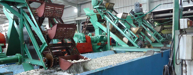 Côte d’Ivoire : La SAPH annonce l’acquisition des parts sociales de la Société Civile Agricole du Sud-Ouest.