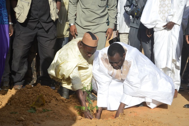 El Hadji Seybatou AW entrain de planter son arbre El Hadji Seybatou AW entrain de planter son arbre