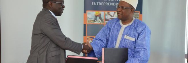 Développement de la filière anacarde : IRD et la BNDE se liguent Développement de la filière anacarde : IRD et la BNDE se liguent