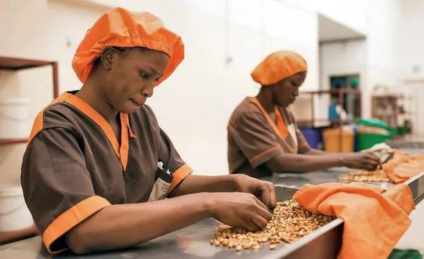 GUICHETS DE FINANCEMENT DÉDIÉS AUX PME : Une efficacité en question GUICHETS DE FINANCEMENT DÉDIÉS AUX PME : Une efficacité en question