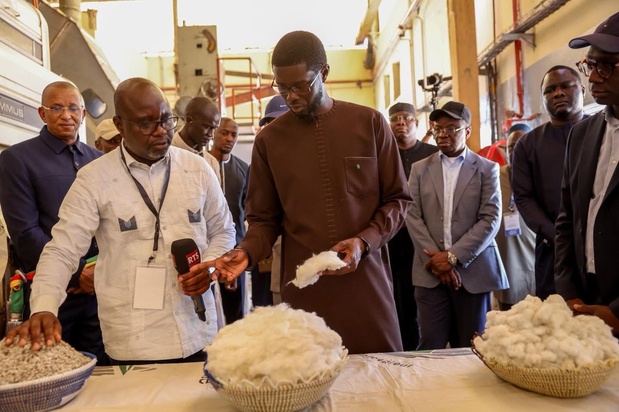Tournée économique dans la région de Kolda : Le président Faye met en lumière le rôle stratégique de la filière coton