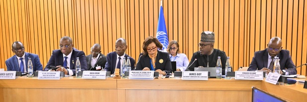 Financement du développement durable en Afrique : Les acteurs veulent miser sur ressources domestiques