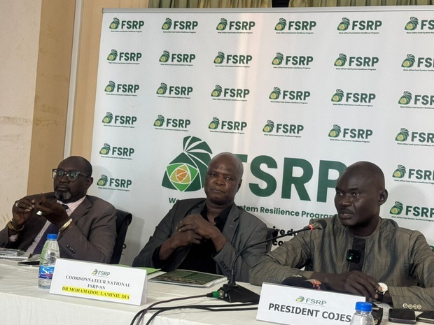 SECURITE ALIMENTAIRE : Le Sénégal investit dans la résilience des systèmes SECURITE ALIMENTAIRE : Le Sénégal investit dans la résilience des systèmes