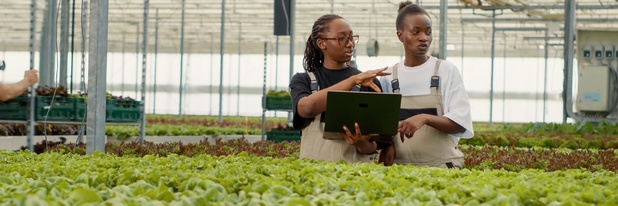 Accélération de la transformation digitale : La Cea mise sur l’entrepreneuriat féminin Accélération de la transformation digitale : La Cea mise sur l’entrepreneuriat féminin