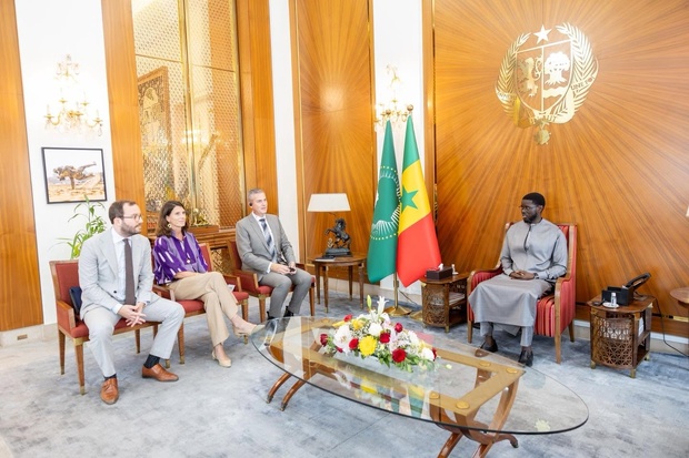 Acteur majeur de l’industrie navale néerlandaise : Une délégation de Damen Shipyards Group reçue par le président Bassirou Diomaye Faye