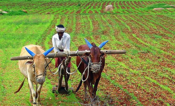 PROJET ECOVILLAGES : Le modèle sénégalais inspire le Burkina Faso