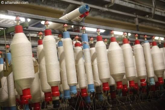 Mali: Le gouvernement malien mise sur l'industrialisation locale pour transformer l'or blanc
