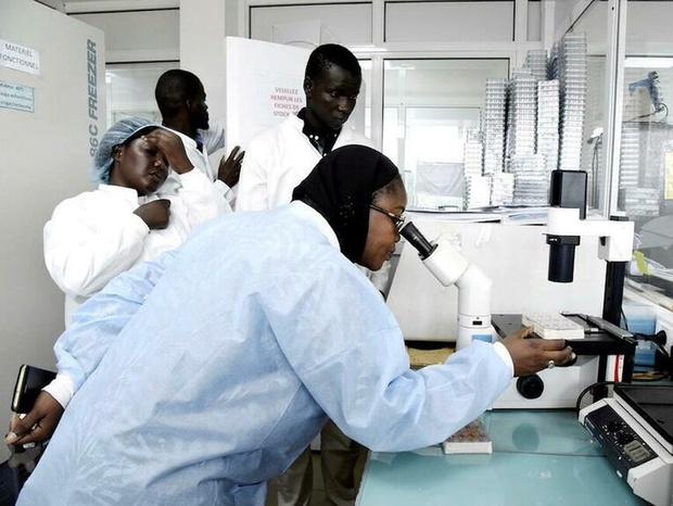 Sénégal : Le chiffre d’affaires des services recule au premier trimestre 2026