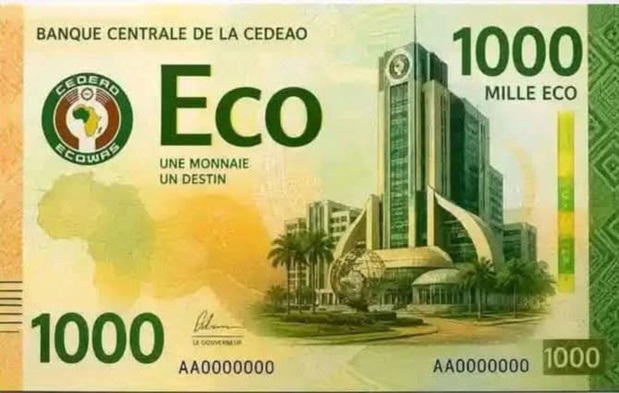 La monnaie commune africaine se fait toujours attendre La monnaie commune africaine se fait toujours attendre