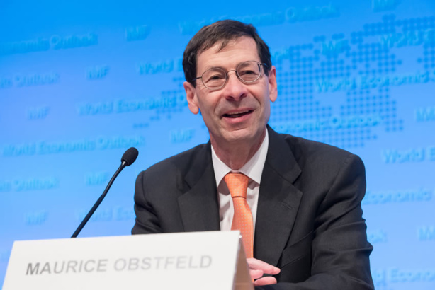 Maurice Obstfeld, Chef économiste et Conseiller économique du FMI