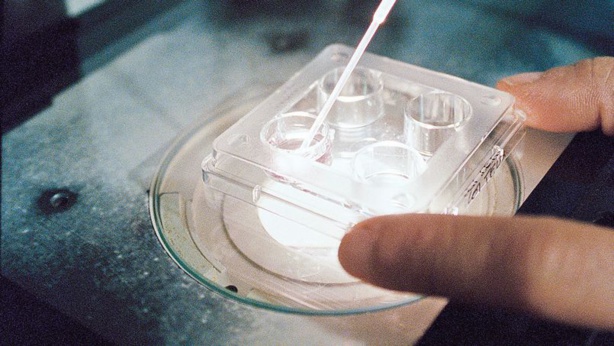 Chine : la révolution scientifique est en marche