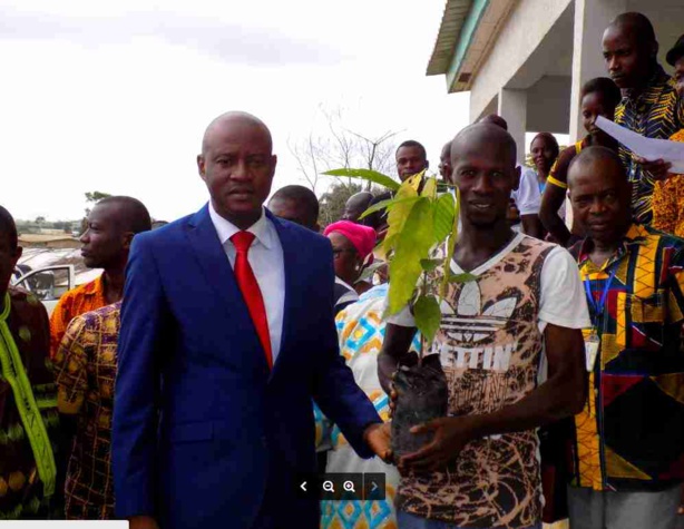 APPUI : L’OMCC et l’ANOPACI distribuent des intrants aux cultivateurs de Cacao ivoiriens