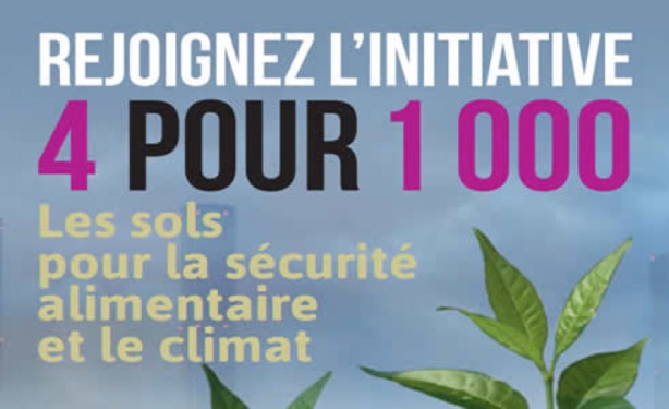 Initiative 4 pour 1000 : Un véritable levier pour la sécurité alimentaire Initiative 4 pour 1000 : Un véritable levier pour la sécurité alimentaire