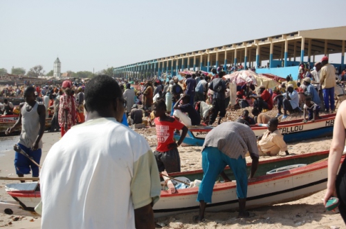 Sénégal : Vers l’érection d’un quai de pêche à Bargny
