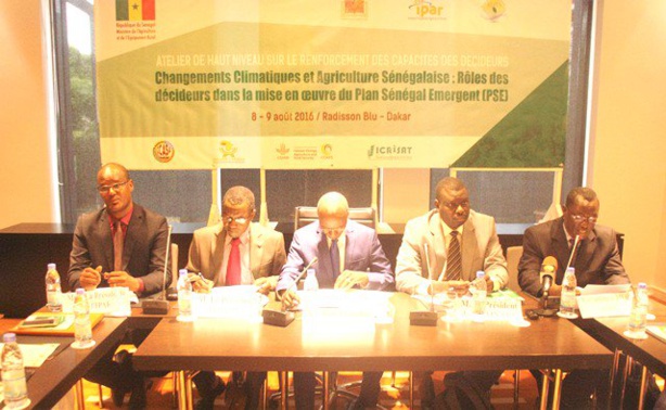 Sénégal : La gestion raisonnable de l’agriculture a permis une croissance de 7,8% du secteur en 2015 Sénégal : La gestion raisonnable de l’agriculture a permis une croissance de 7,8% du secteur en 2015