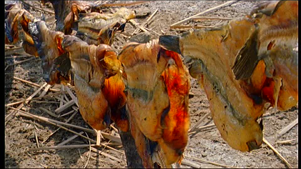 TRANSFORMATION DE POISSON :  Un financement de 178 millions de francs CFA pour des femmes de Joal-Fadiouth TRANSFORMATION DE POISSON :  Un financement de 178 millions de francs CFA pour des femmes de Joal-Fadiouth