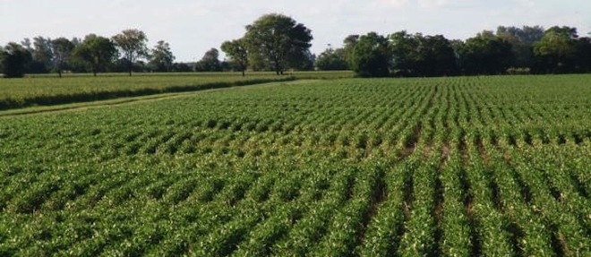 TRANSFORMATION AGRICOLE EN AFRIQUE :  La BAD lance la stratégie pour les 10 années à venir