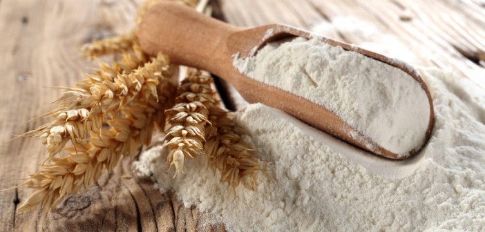 Sénégal : Baisse de 8 FCFA du prix du Kg de farine de blé en septembre 2016 Sénégal : Baisse de 8 FCFA du prix du Kg de farine de blé en septembre 2016