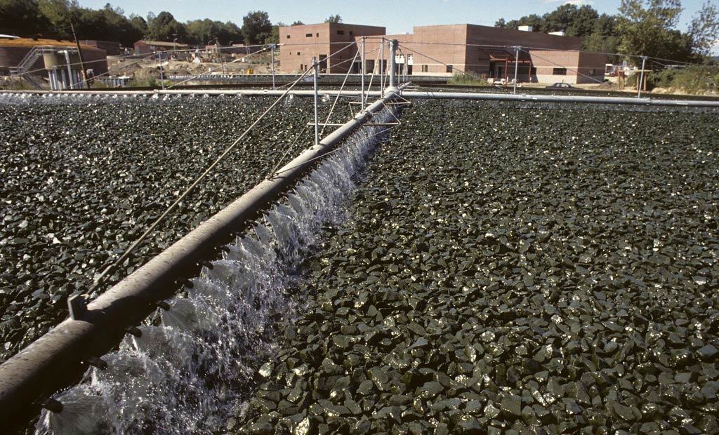 Pénurie d'eau : La FAO suggère une bonne utilisation des eaux usées en agriculture
