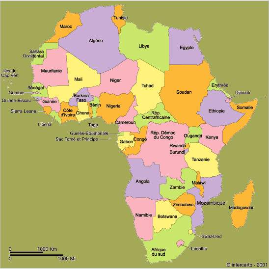 Atteinte des OMD : L’Afrique a fait des progrès, selon la CEA
