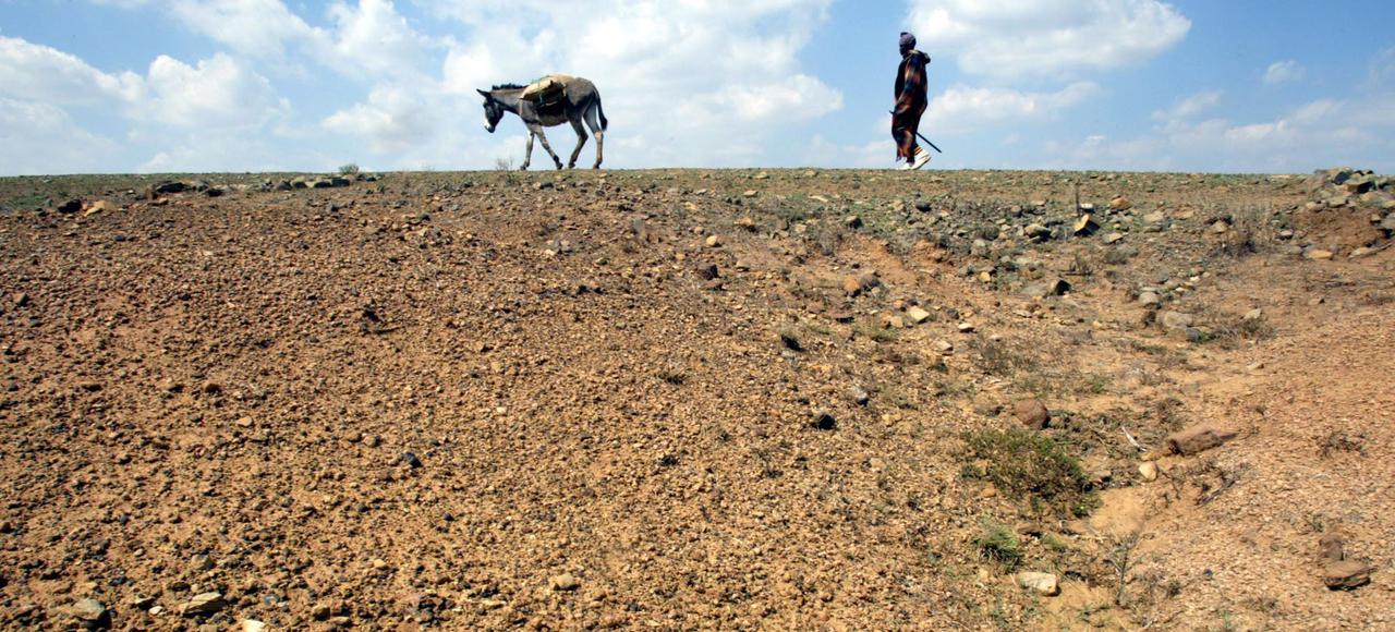 Afrique Subsaharienne : Les coûts de financement des pays pré émergents sont en hausse