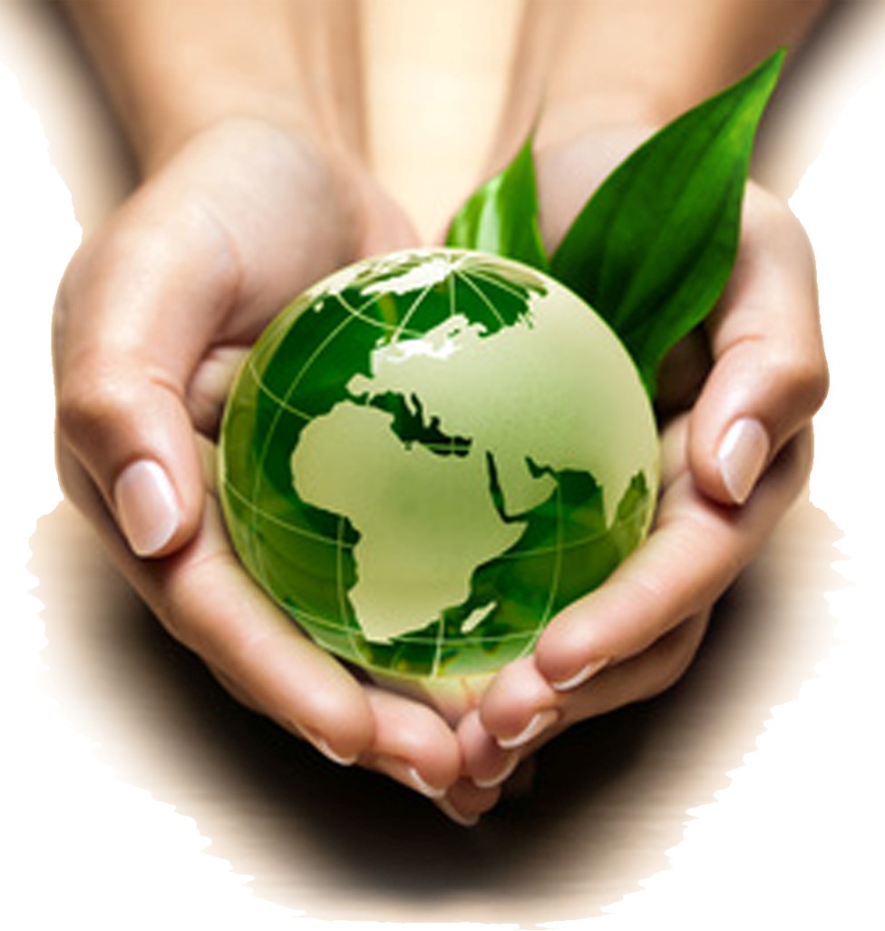 Environnement : Une vraie opportunité pour l'Afrique et le reste du monde