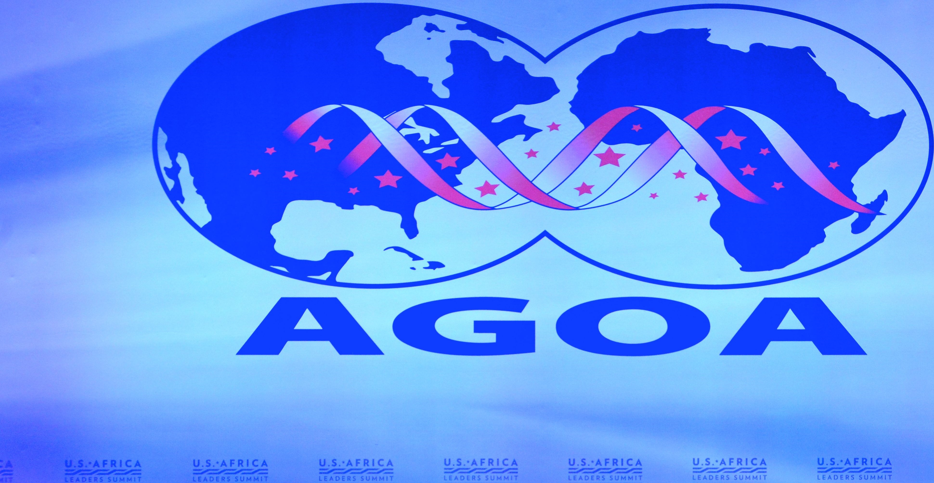 Commerce : L’ambassade des USA anime une conférence téléphonique sur l’AGOA Commerce : L’ambassade des USA anime une conférence téléphonique sur l’AGOA